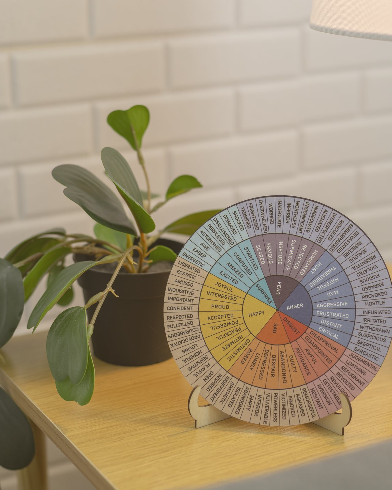 A colourful feelings wheel next to a plant and a white lamp on a side table in the Heart of Oak office