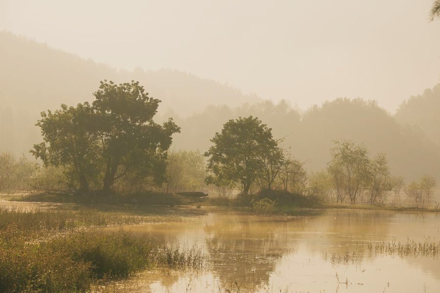 Misty lake at dawn framed by trees